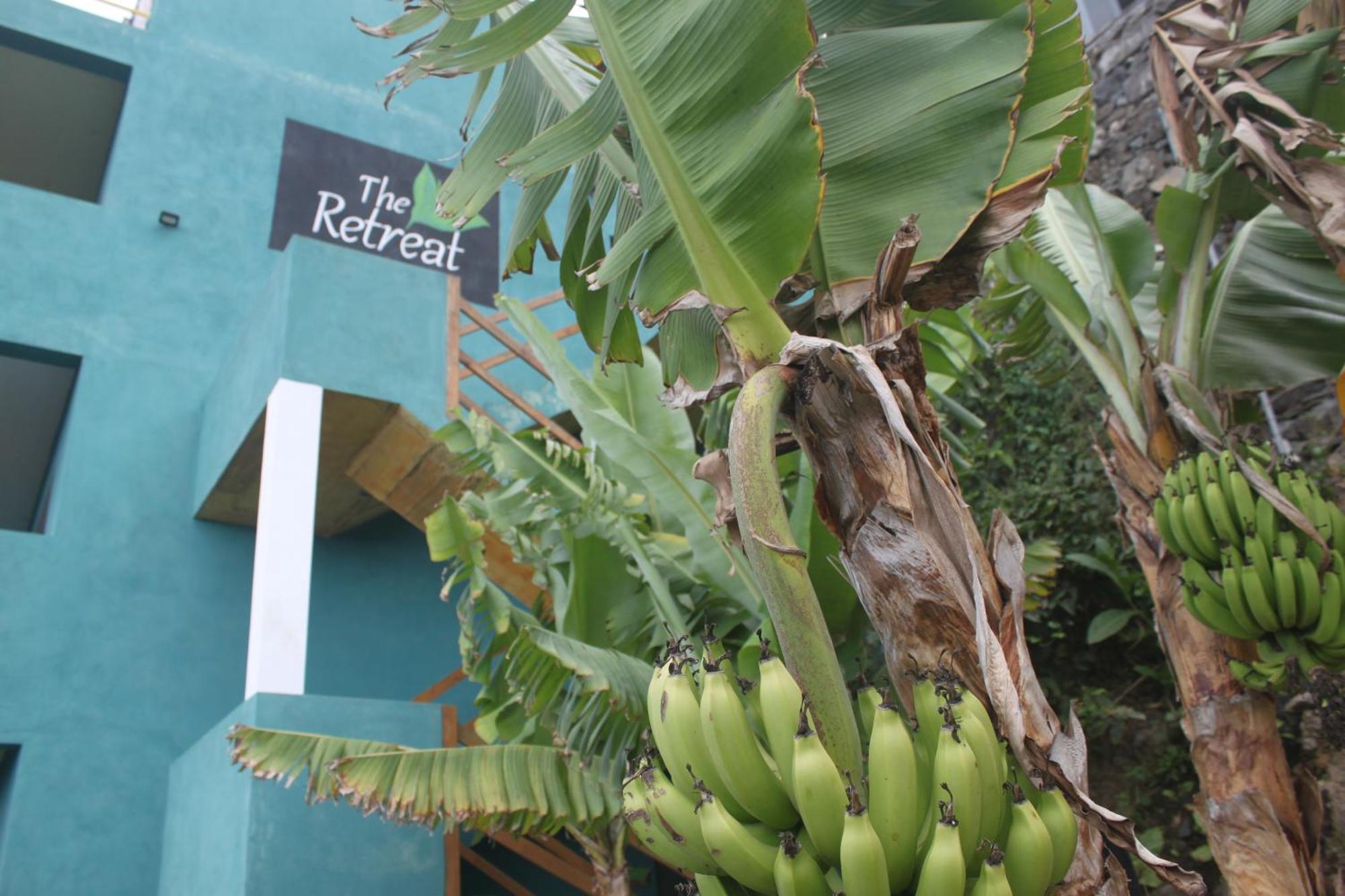 The Retreat Hotel Monte Joana ภายนอก รูปภาพ